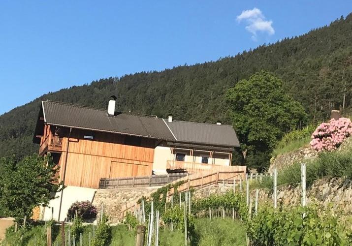 Maso Fallmerayer - Fallmerayerhof Bresanona Exterior foto